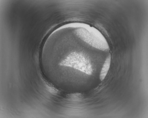 X0000068840108200606021719