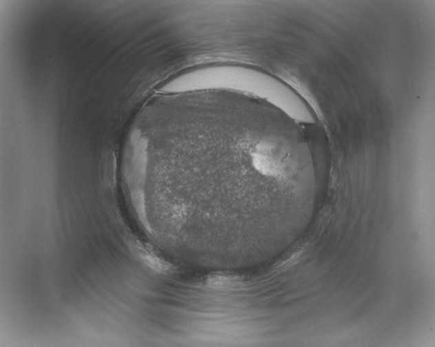 X0000068840109200606021719