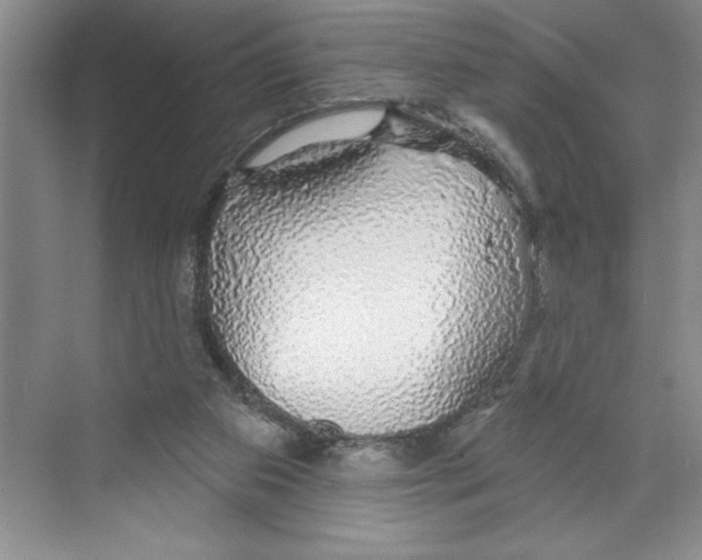 X0000068840113200606021719