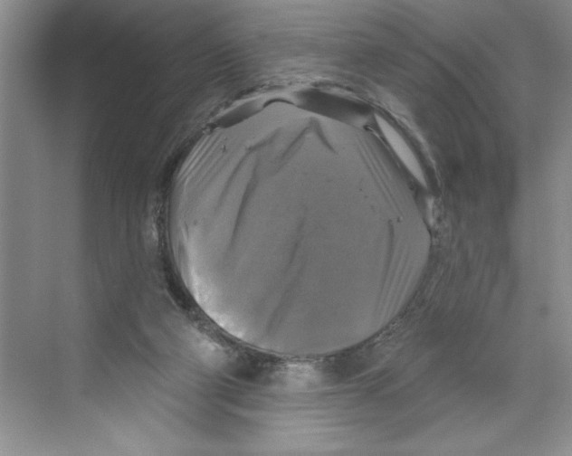 X0000068840114200606021719