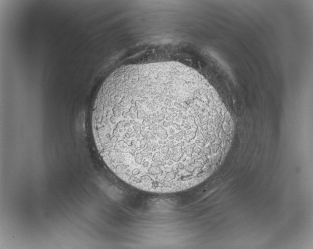 X0000068840115200606021719