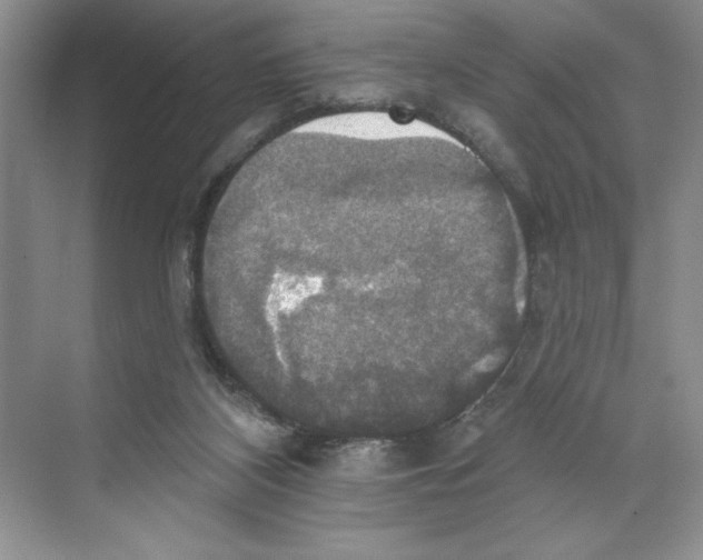 X0000068840116200606021719