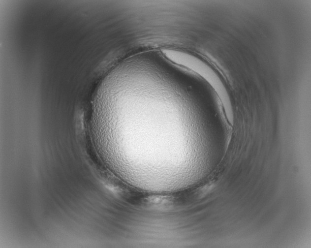 X0000068840117200606021719