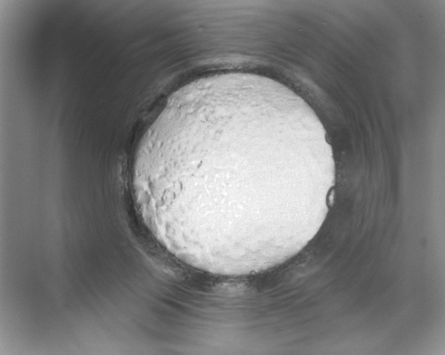 X0000068840119200606021719