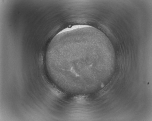 X0000068840120200606021719