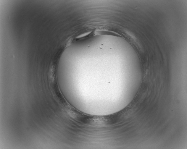 X0000068840121200606021719