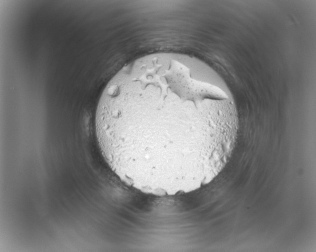 X0000068840123200606021719