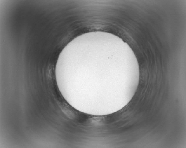 X0000068840126200606021719