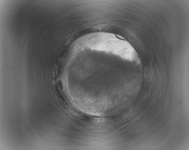 X0000068840127200606021719