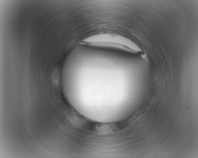 X0000068840129200606021719