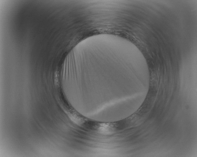 X0000068840130200606021719