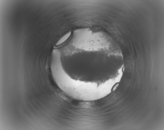 X0000068840131200606021719