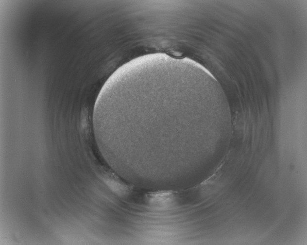 X0000068840132200606021719