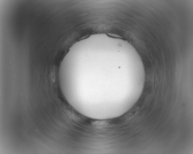 X0000068840133200606021719