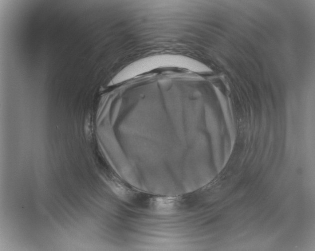 X0000068840134200606021719