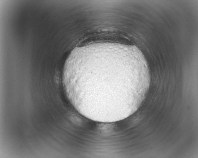 X0000068840135200606021719