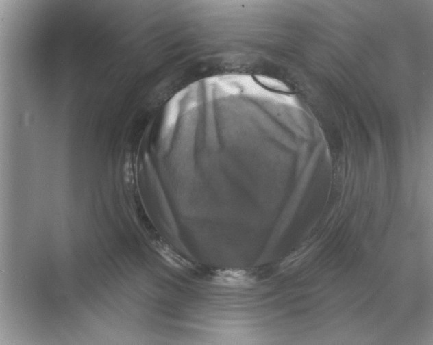 X0000068840137200606021718