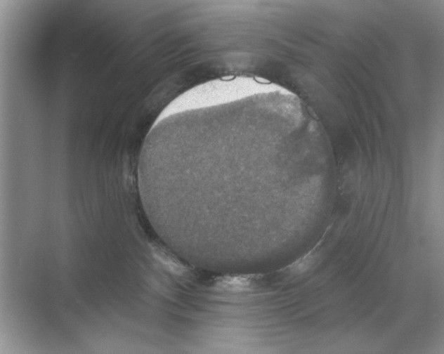 X0000068840140200606021718