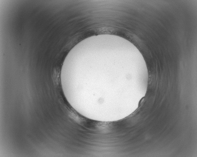 X0000068840142200606021718