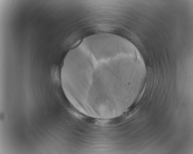 X0000068840143200606021718