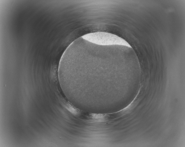 X0000068840144200606021718