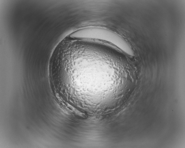 X0000068840148200606021718