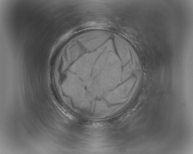 X0000068840149200606021718