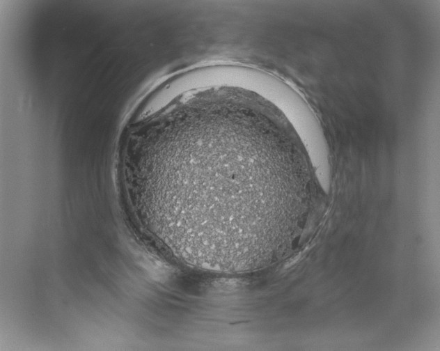 X0000068840152200606021718