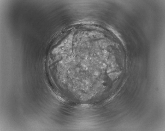 X0000068840153200606021718