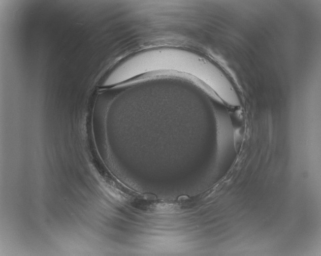 X0000068840154200606021718