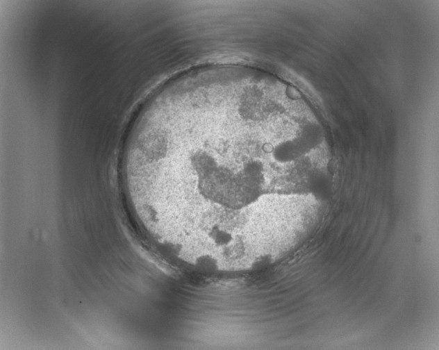 X0000068840155200606021718