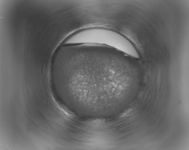 X0000068840156200606021718