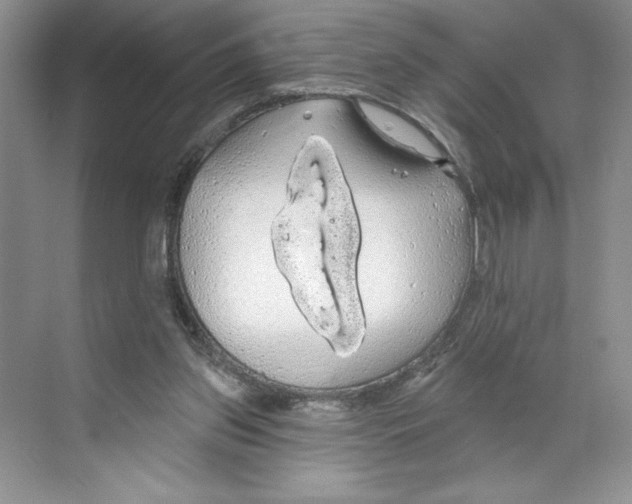 X0000068840157200606021718