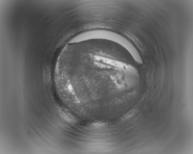 X0000068840158200606021718