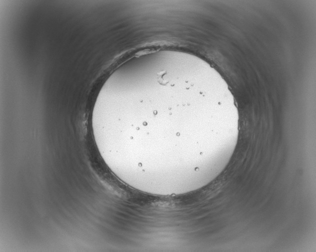 X0000068840160200606021718