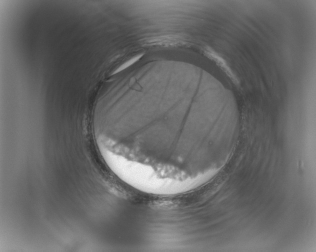 X0000068840161200606021718