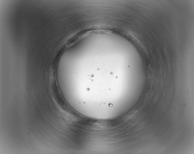 X0000068840164200606021718