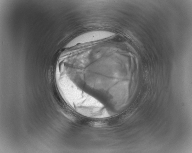 X0000068840165200606021718