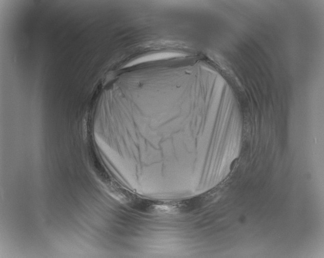 X0000068840167200606021718