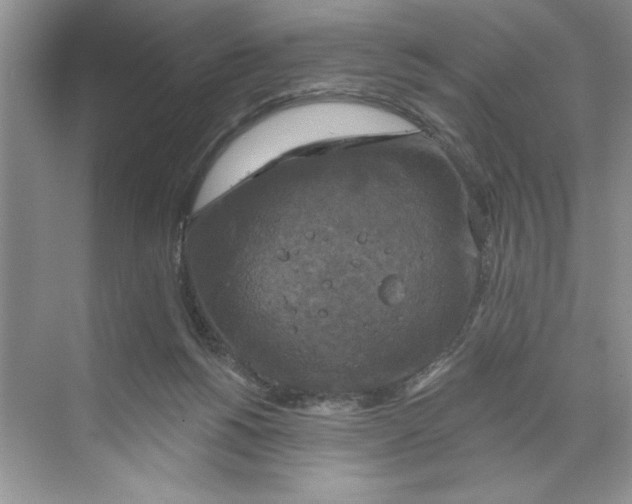 X0000068840168200606021718