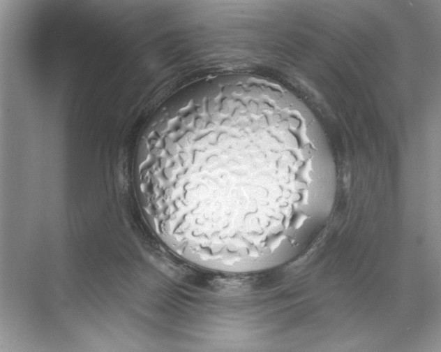 X0000068840170200606021718