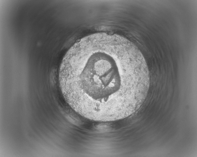 X0000068840171200606021718