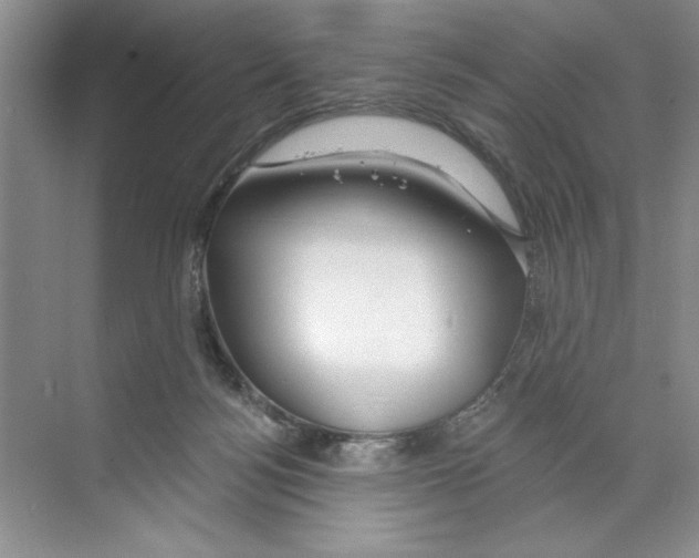 X0000068840172200606021718