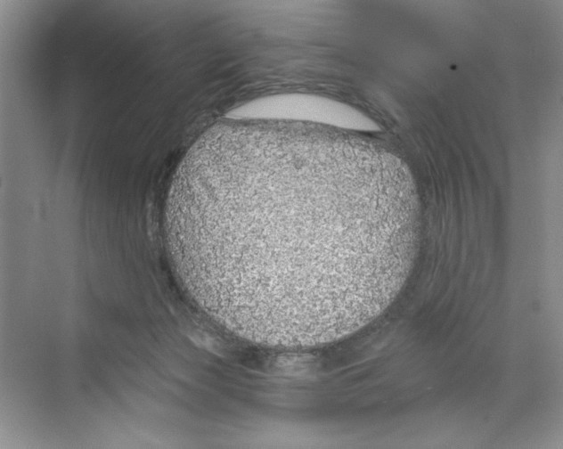 X0000068840173200606021718