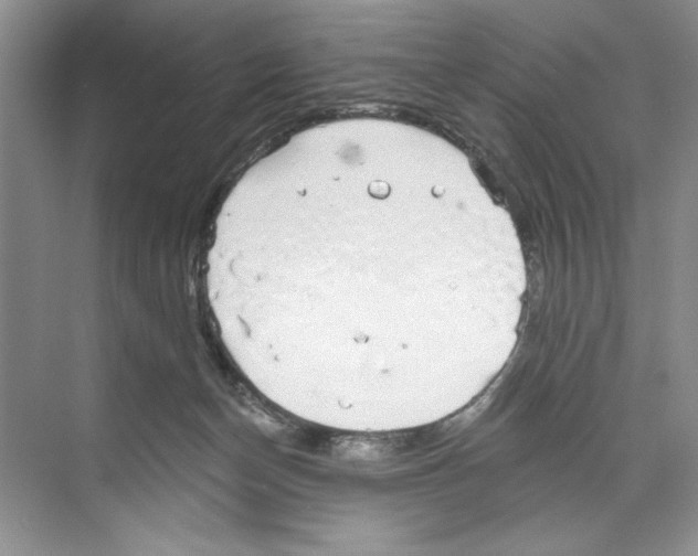 X0000068840174200606021718