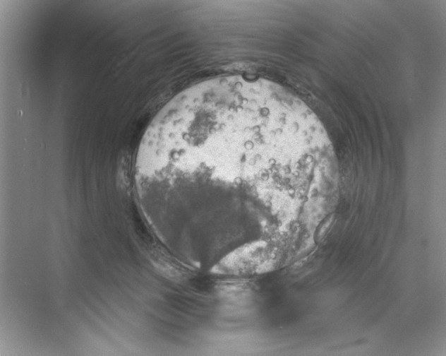 X0000068840175200606021718