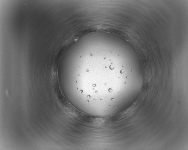 X0000068840176200606021718