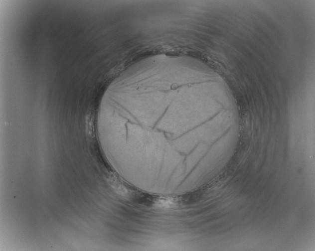 X0000068840177200606021718