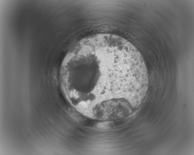 X0000068840178200606021718