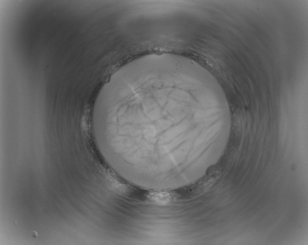 X0000068840181200606021718